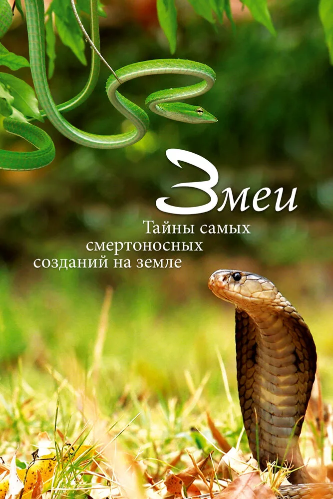 документальный