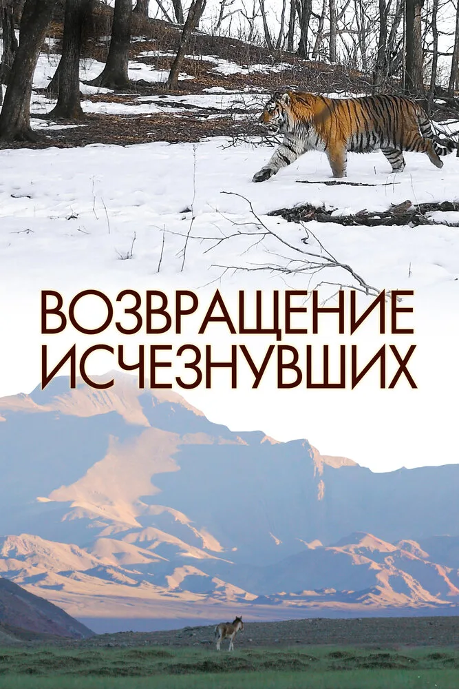 Возвращение исчезнувших