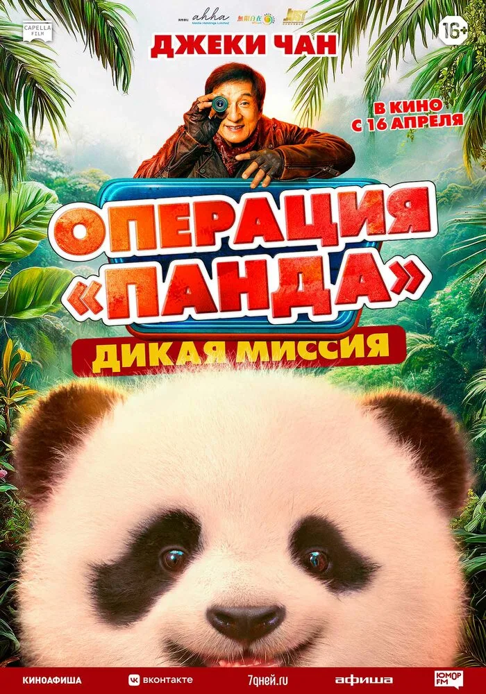 Операция «Панда». Дикая миссия