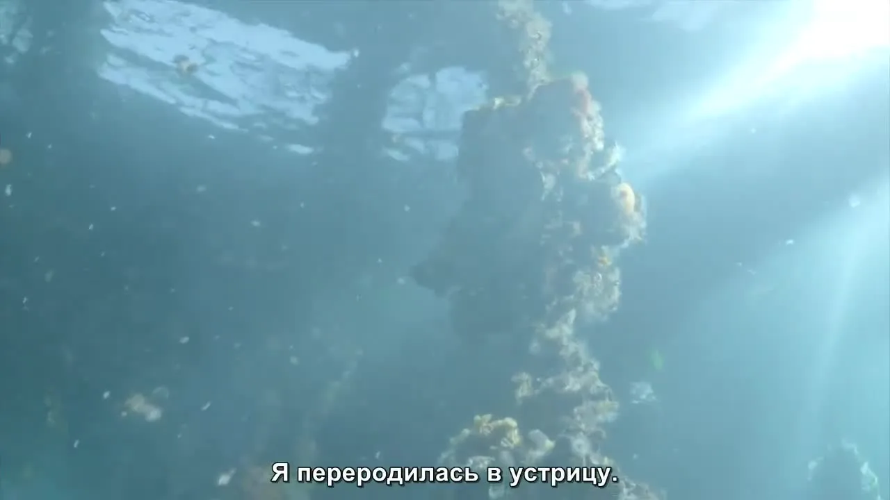 С возвращением, Моне — кадр 5