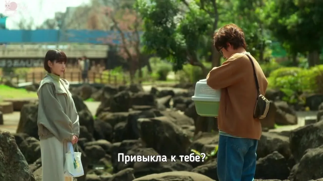 Это правда, что вы женитесь? — кадр 2