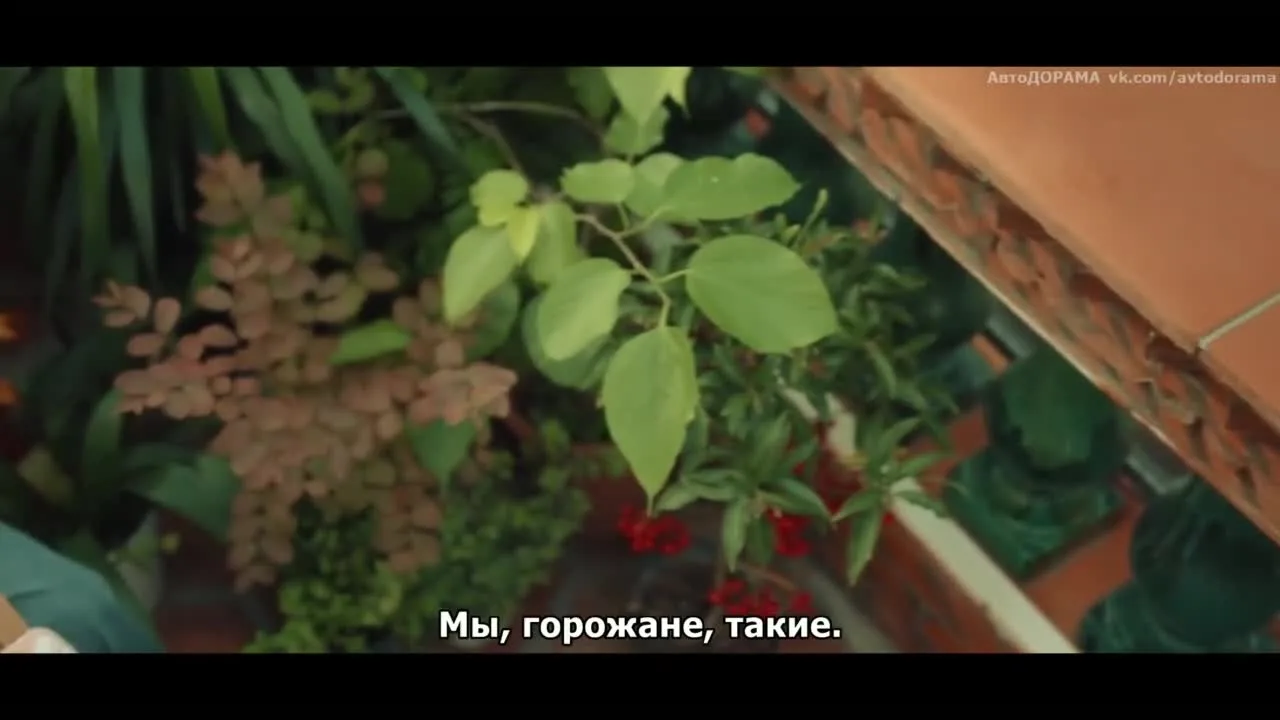 В моем родном городе есть возлюбленный — кадр 5