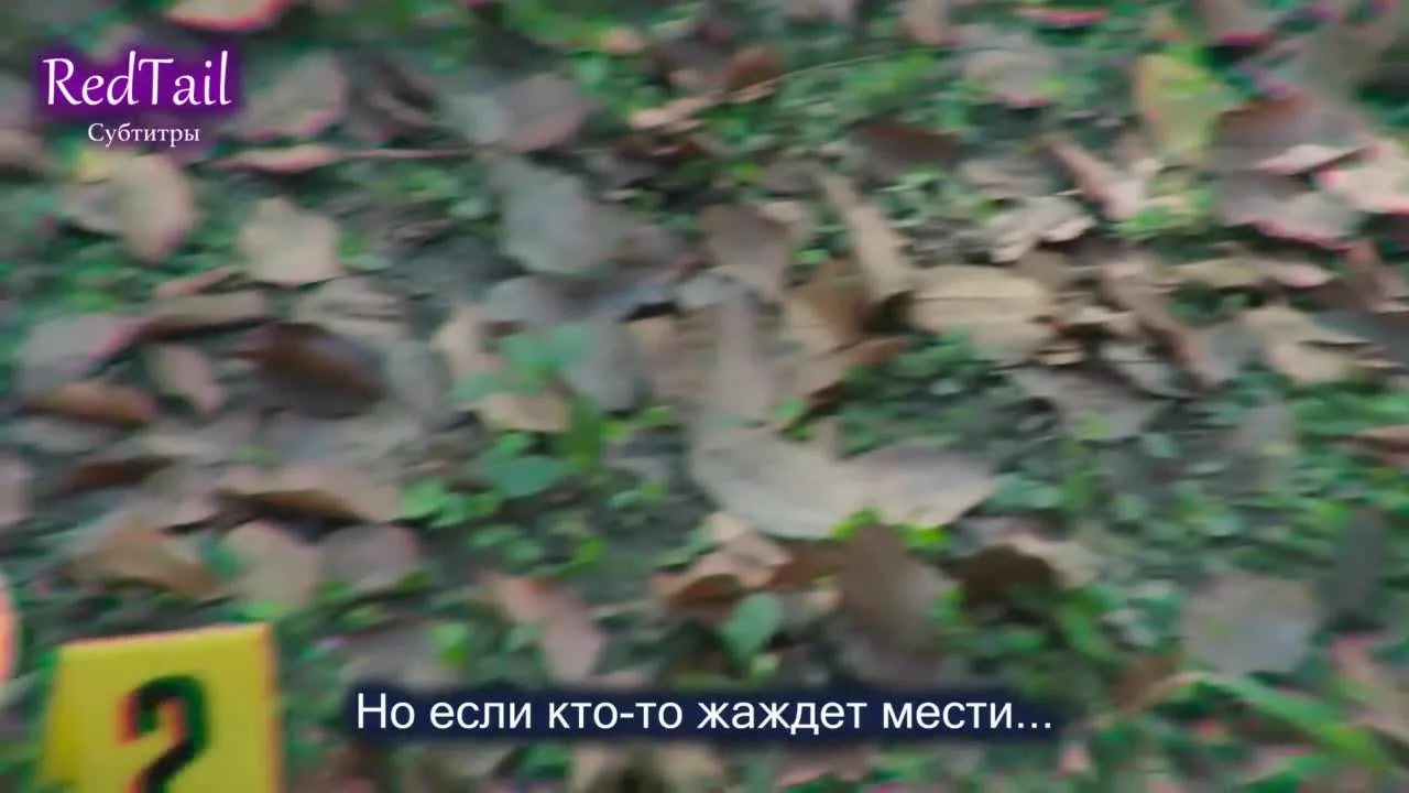 Когда улитка влюблена (тайская версия) — кадр 5
