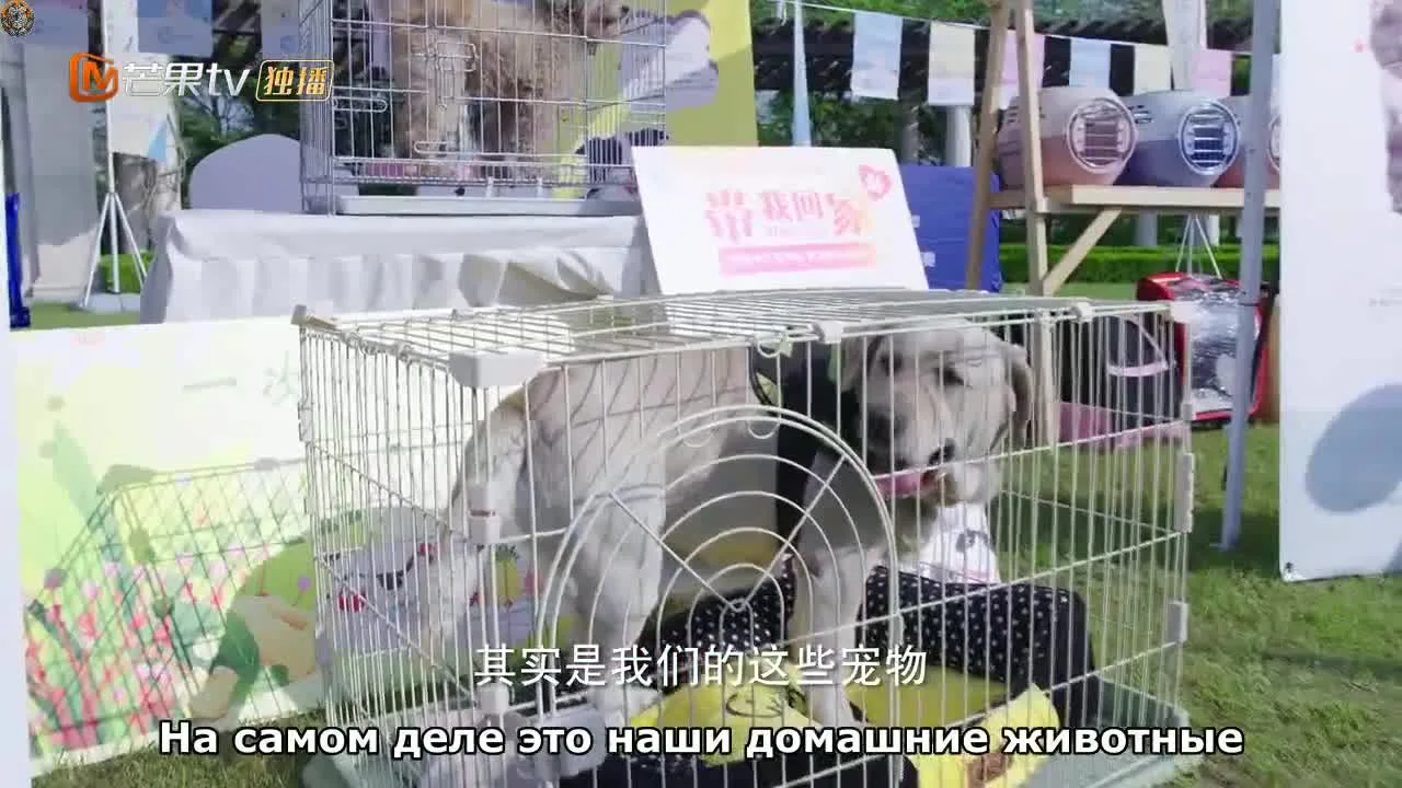 Любя тебя — кадр 2