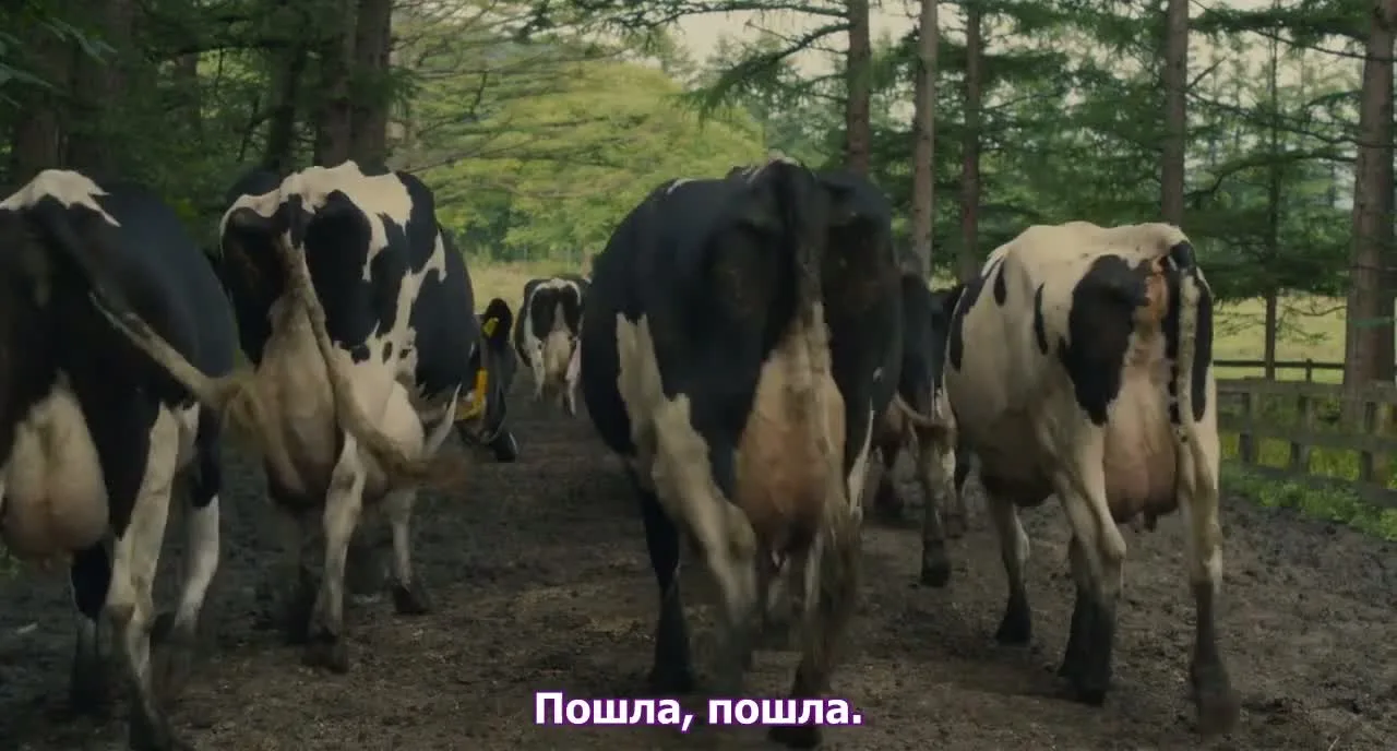 Серебряная ложка — кадр 2