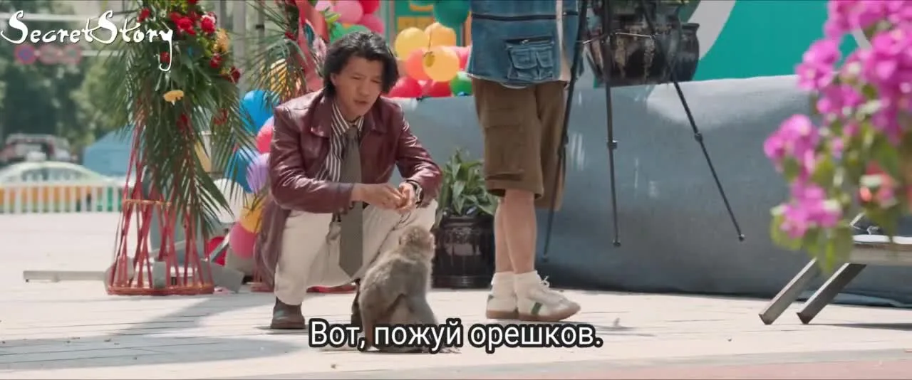 Пропавший слон — кадр 2