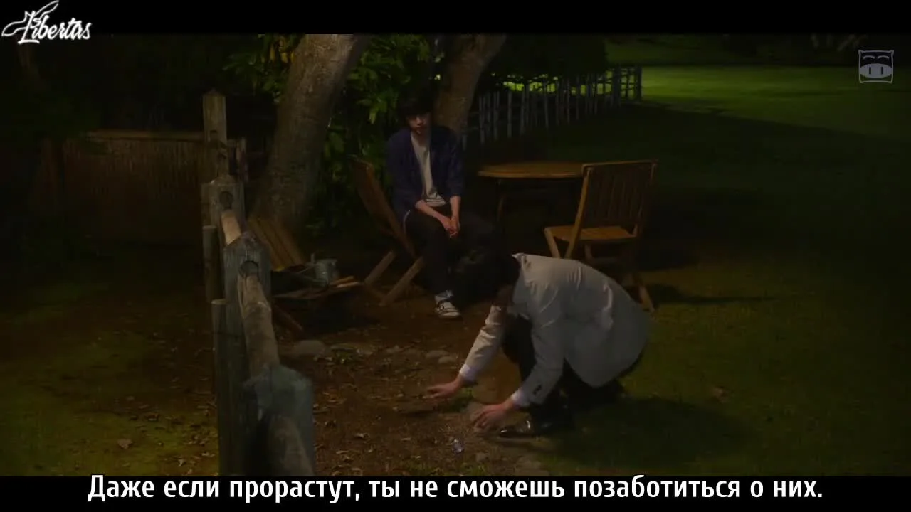Цветут ли цветы? — кадр 3