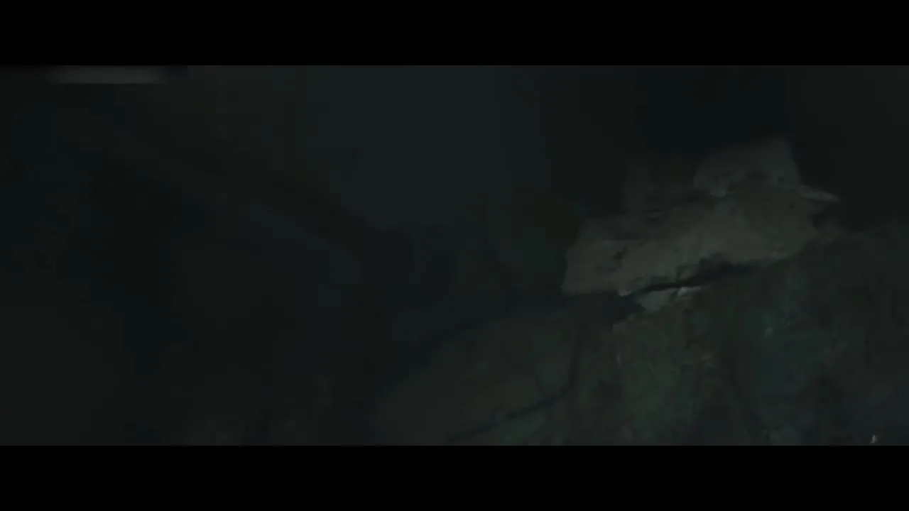 Битва за Чансари — кадр 3