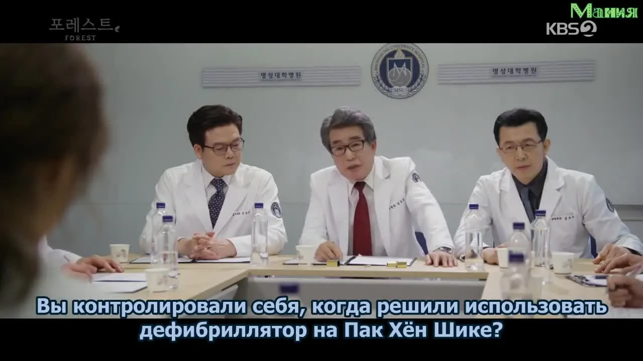 Лес — кадр 5