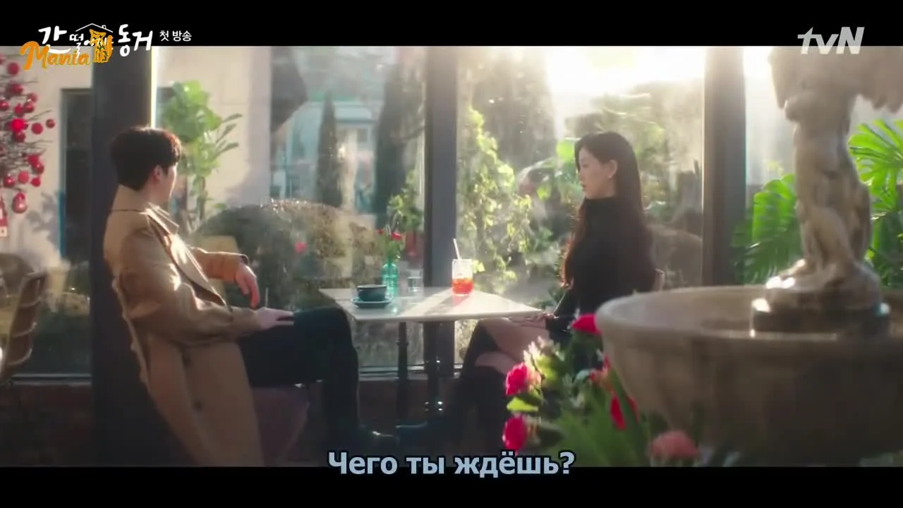 Мой сосед — кумихо — кадр 3