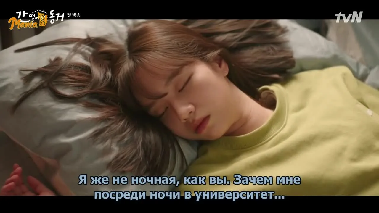 Мой сосед — кумихо — кадр 5