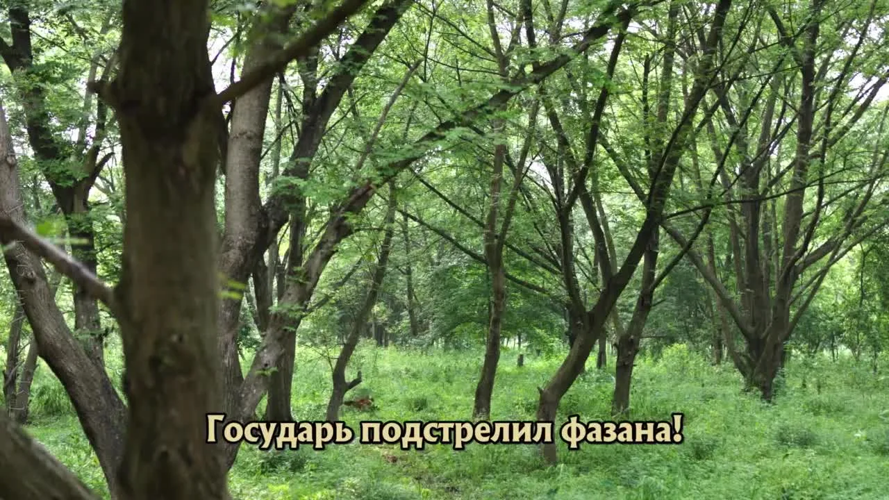 Новоландия: Жемчужное затмение — кадр 2