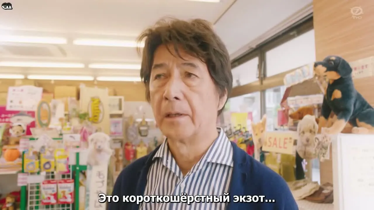 Мужчина и кот — кадр 4