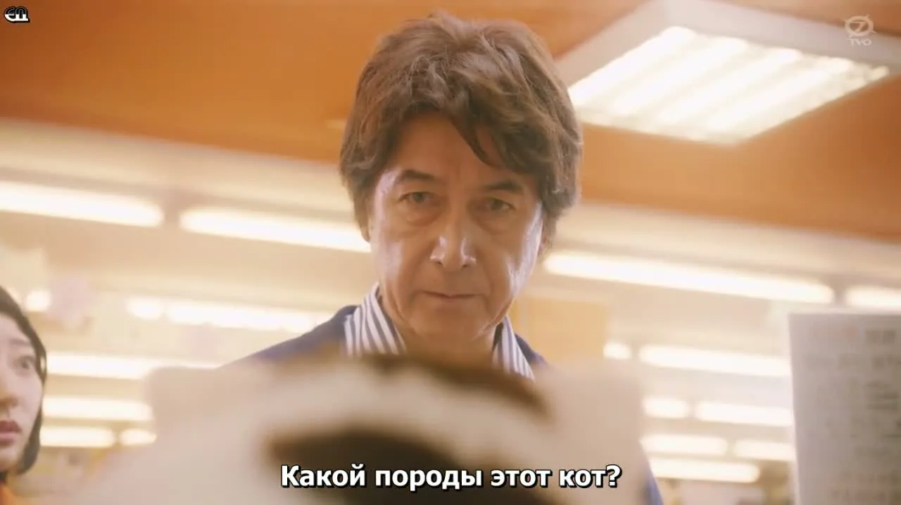 Мужчина и кот — кадр 5