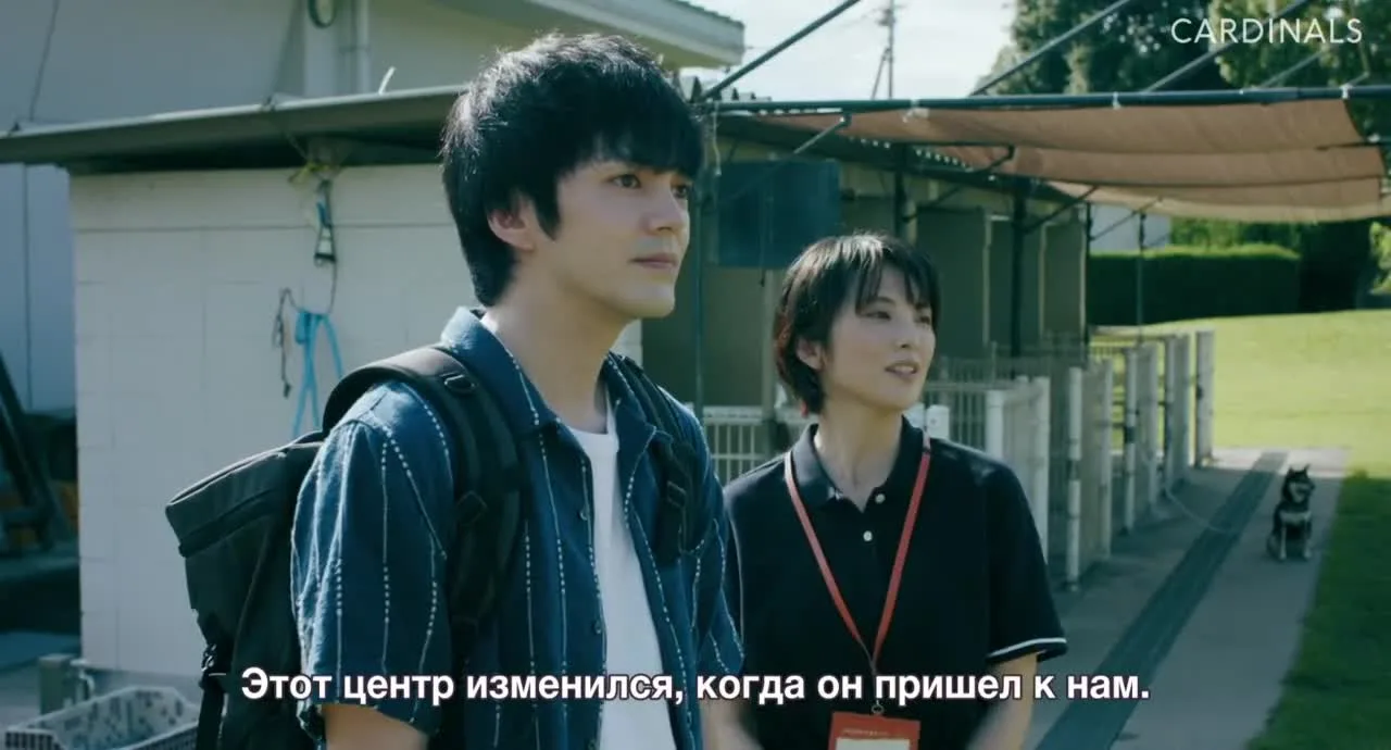 Клуб собак! — кадр 4