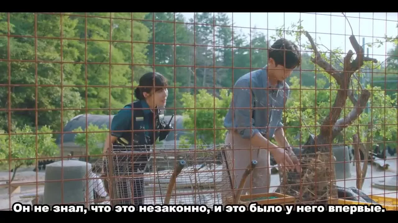 Неожиданный деревенский дневник — кадр 3