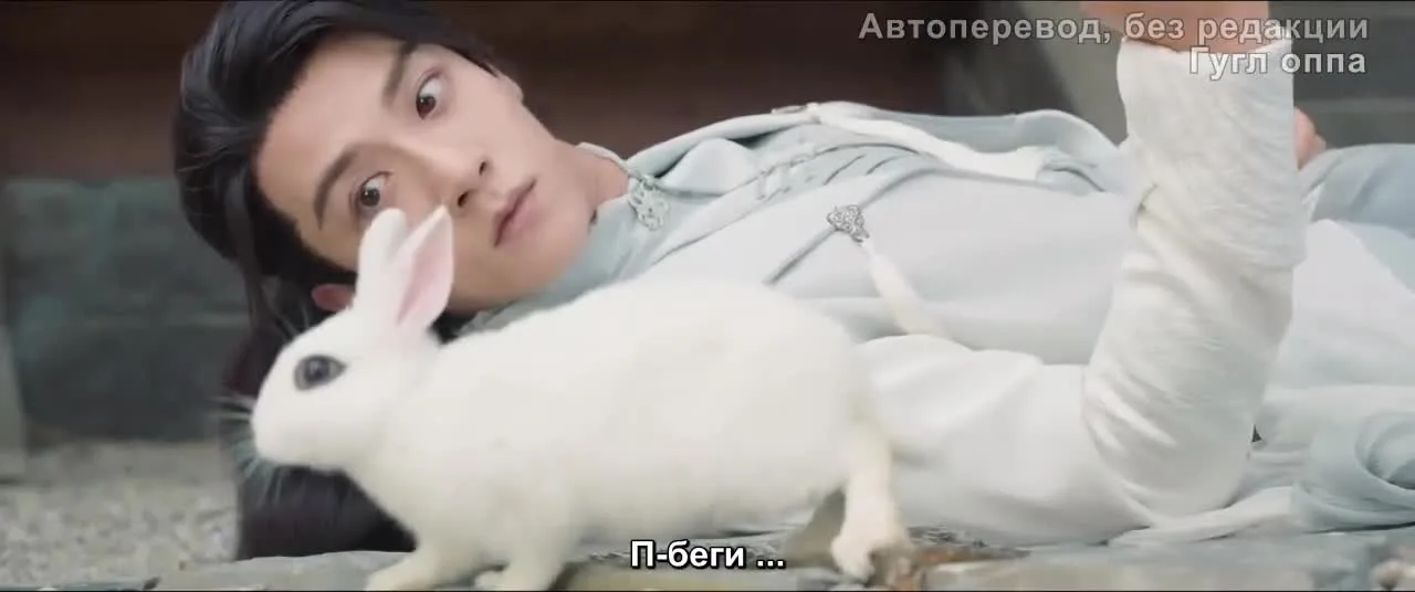 Цинцин в моём сердце — кадр 4