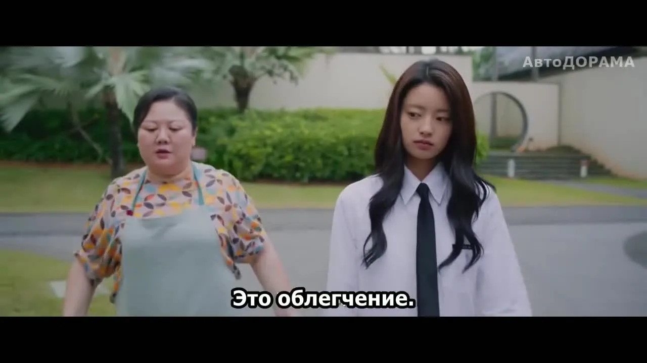 Летние цветы — кадр 3