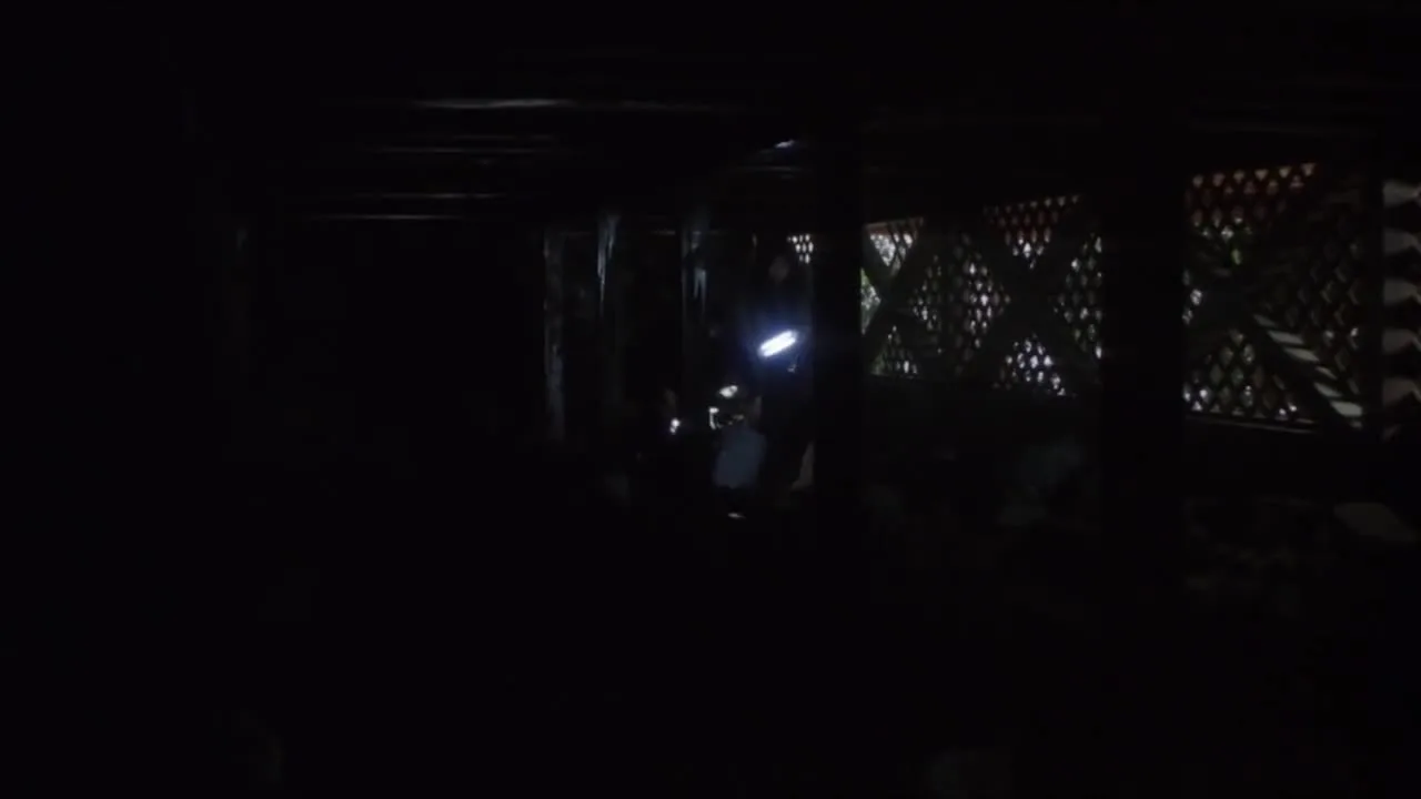 Звонок — кадр 5