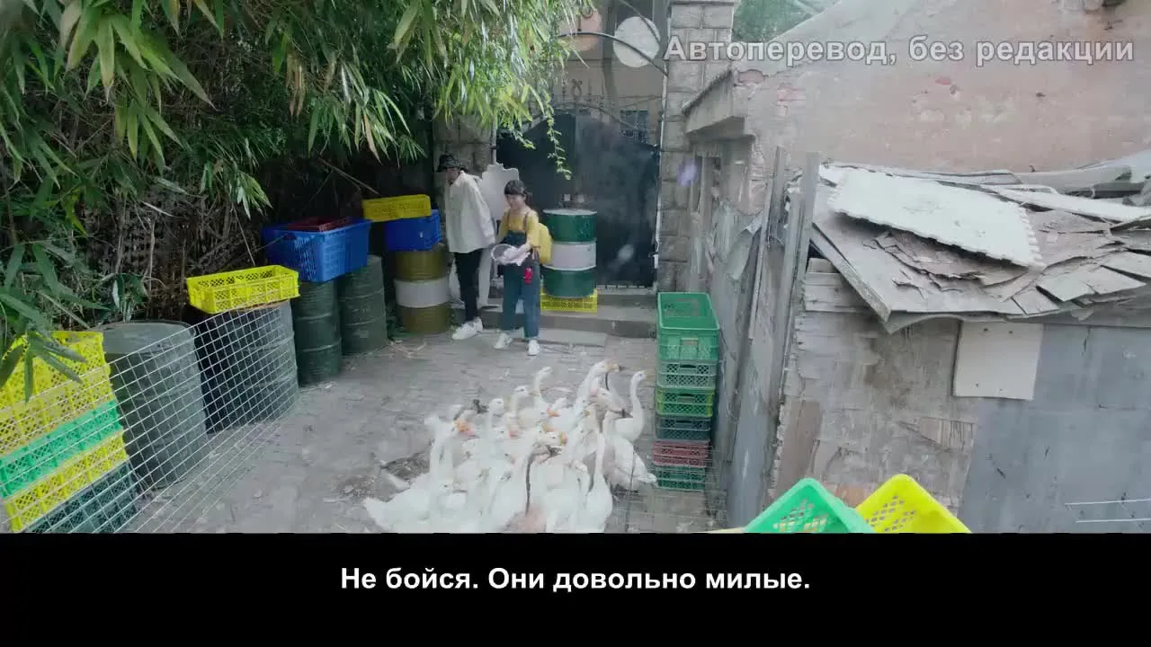 Мой сосед по парте — кадр 2