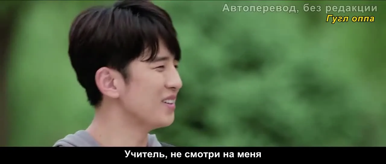 Лес — кадр 2