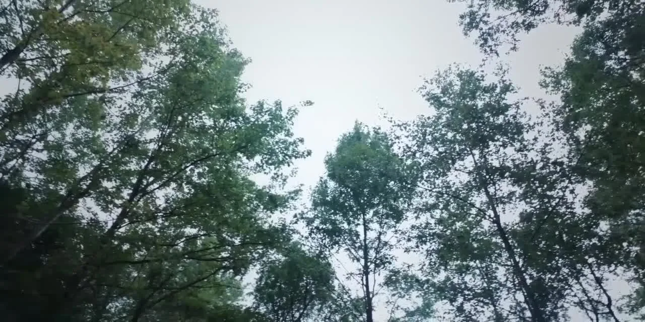 Что не так с моей принцессой — кадр 2