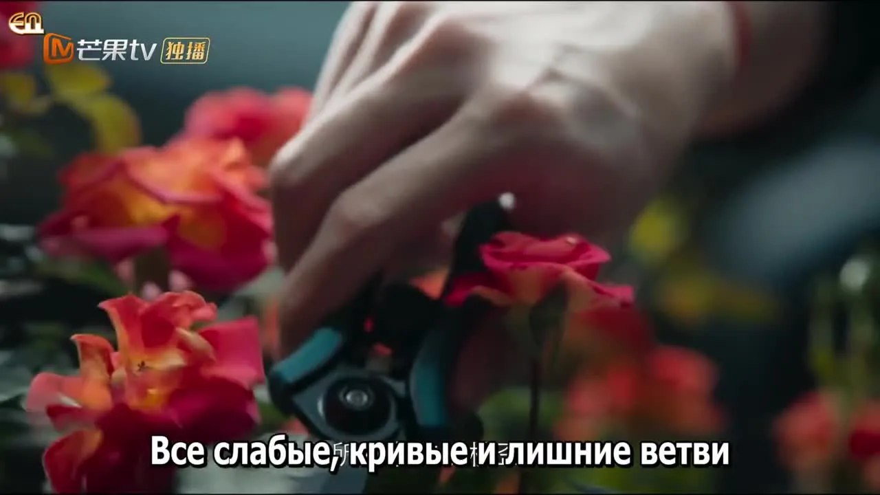 Перепишу свою судьбу — кадр 2