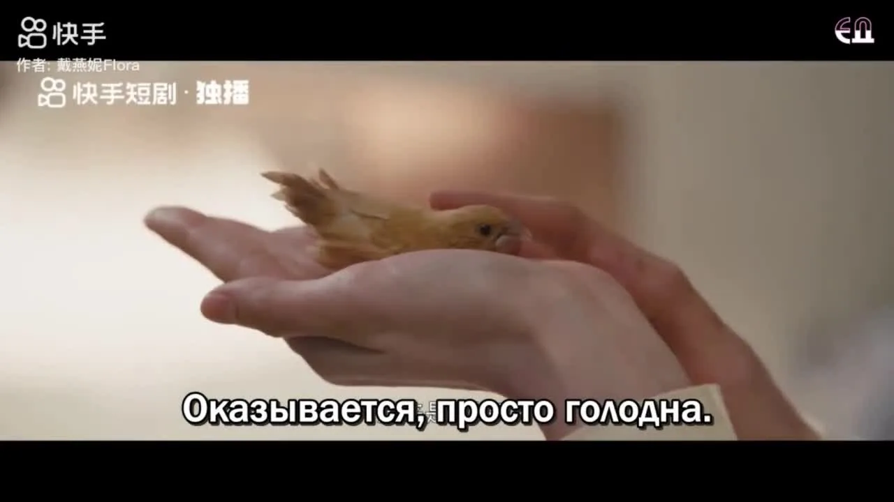 Хороший день, чтобы стать птицей — кадр 5