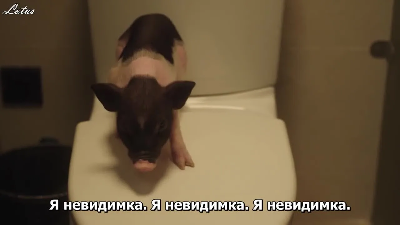 Мой босс поросенок — кадр 3