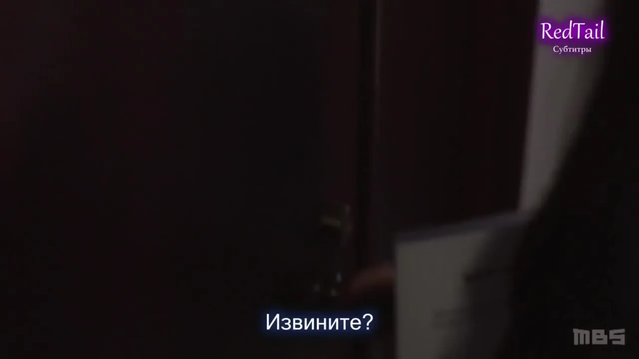 Подозрительный партнер (японская версия) — кадр 3